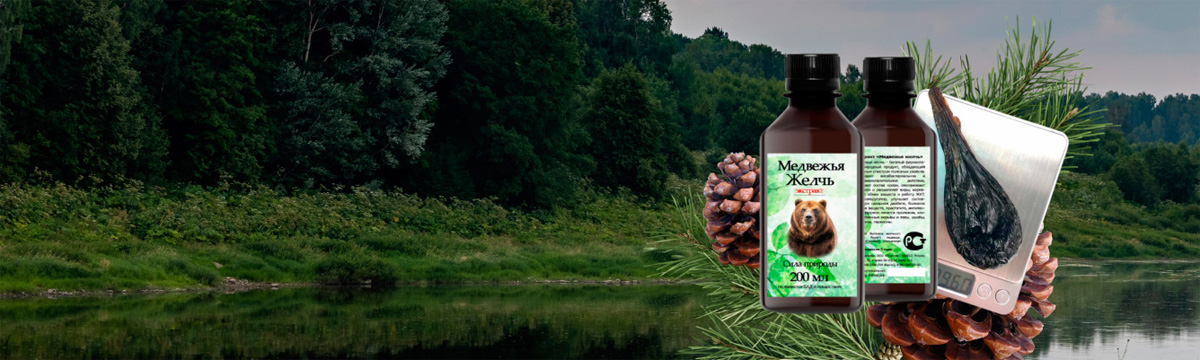Купить медвежью желчь